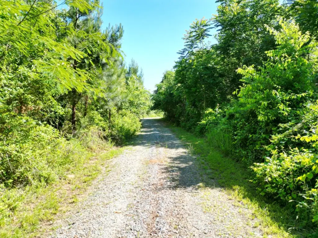 Picture 3