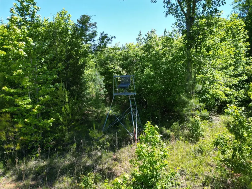 Picture 18
