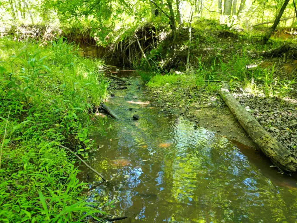 Picture 27