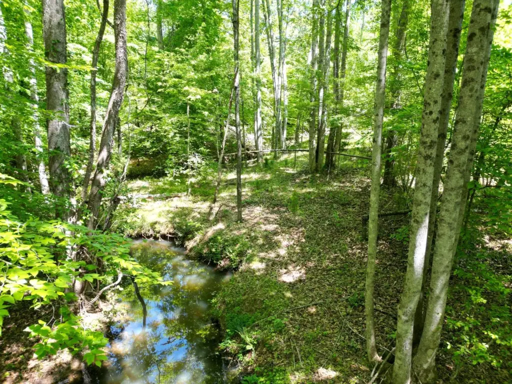 Picture 36