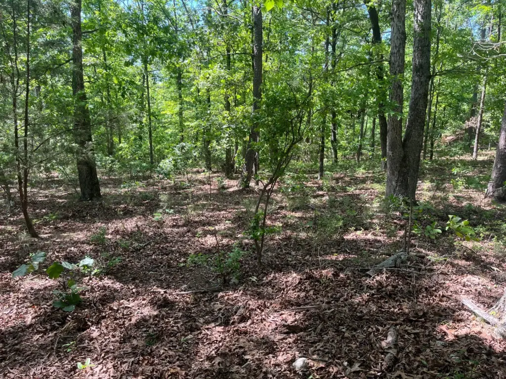 Picture 4