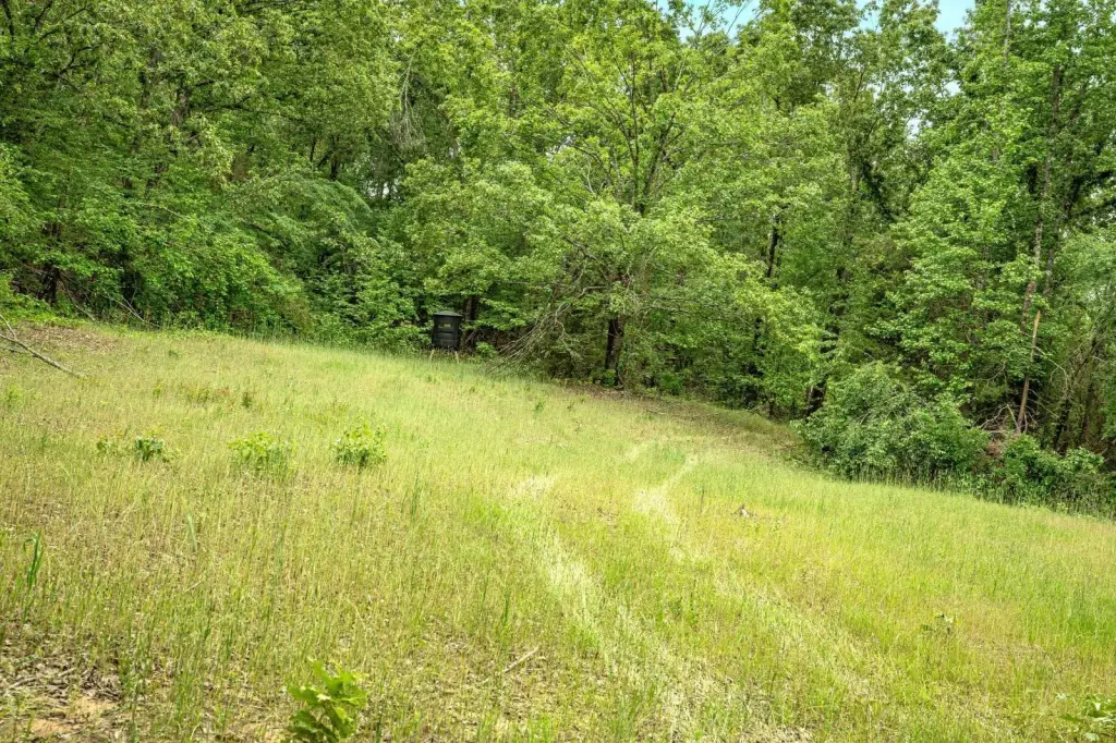 Picture 29
