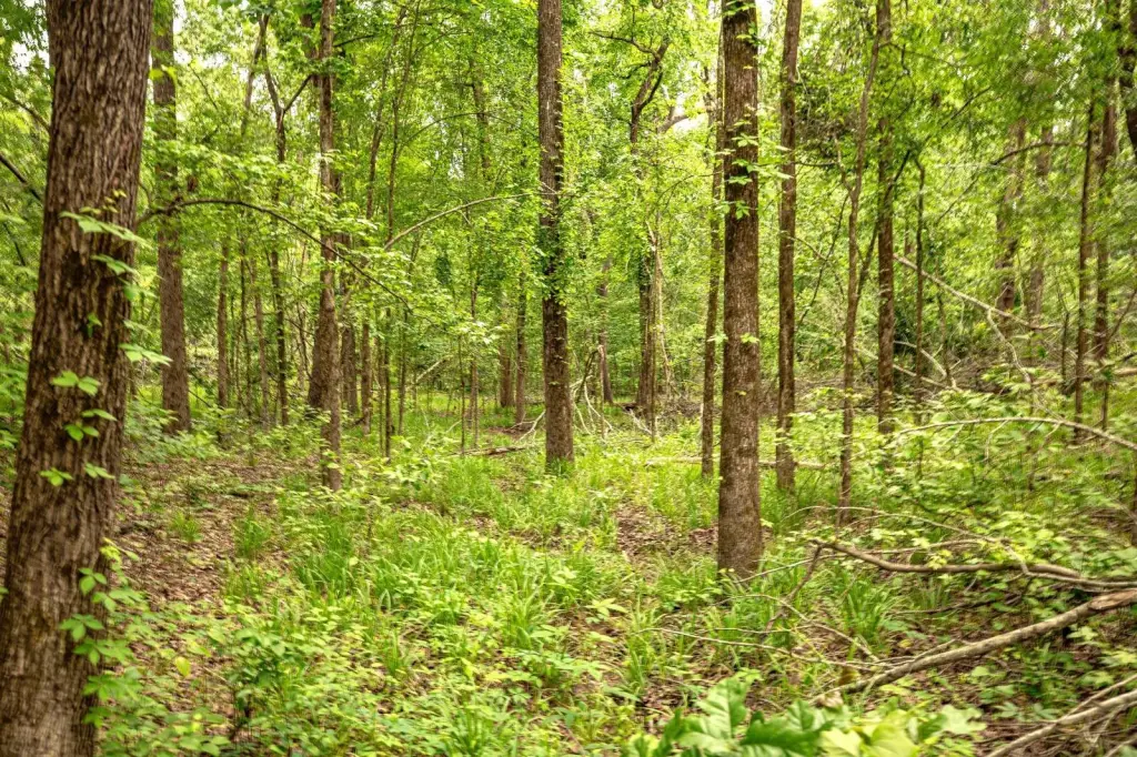 Picture 18