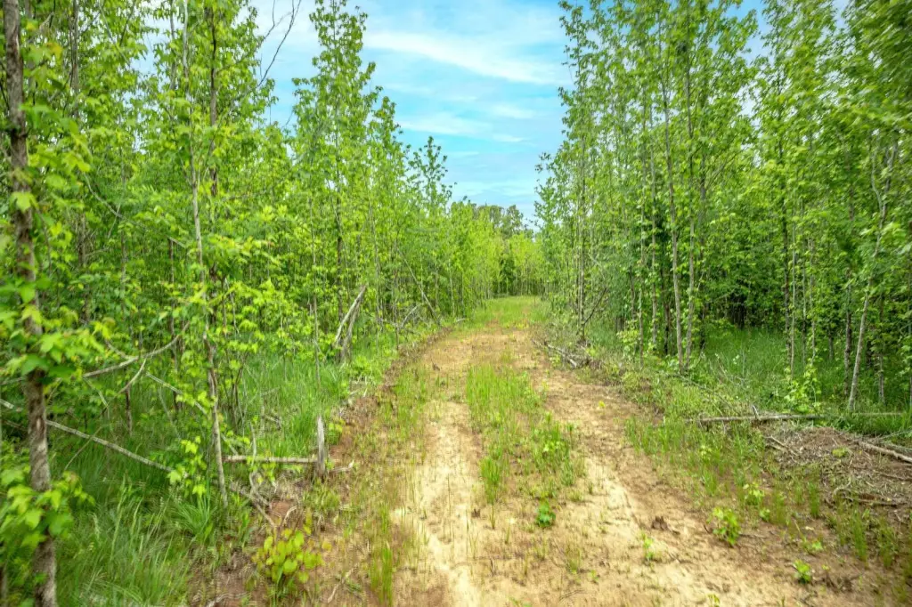 Picture 40