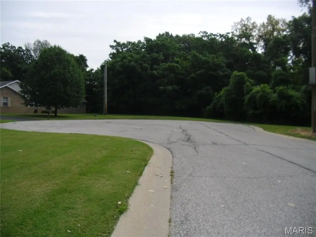 Picture 6