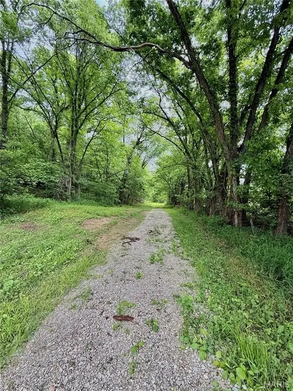 Picture 21