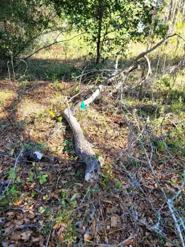 Land in Tallahassee, Florida