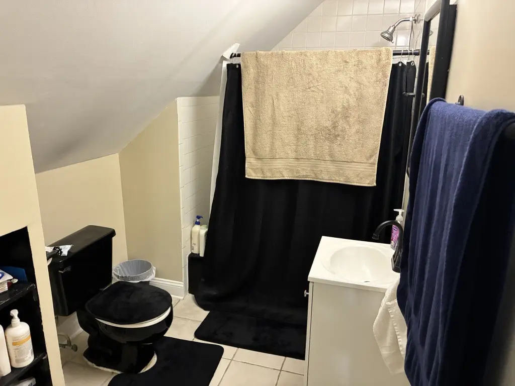 Picture 16
