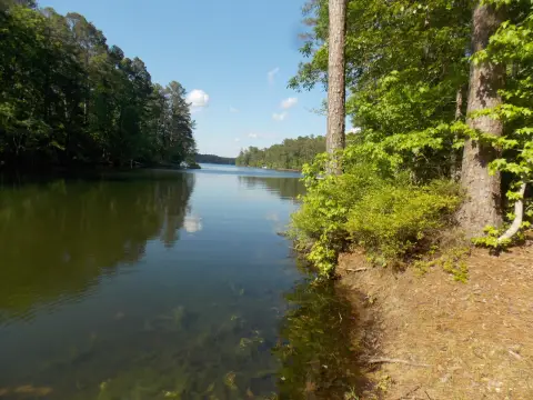 Waterfront Land on Soap Creek