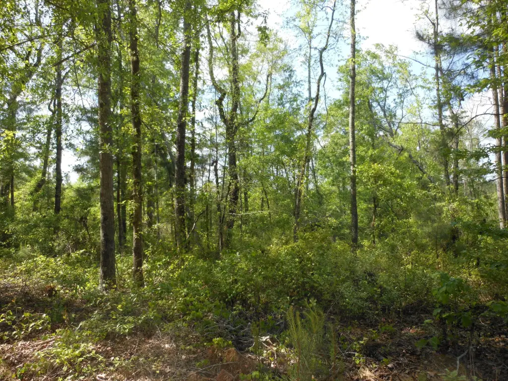 Picture 21