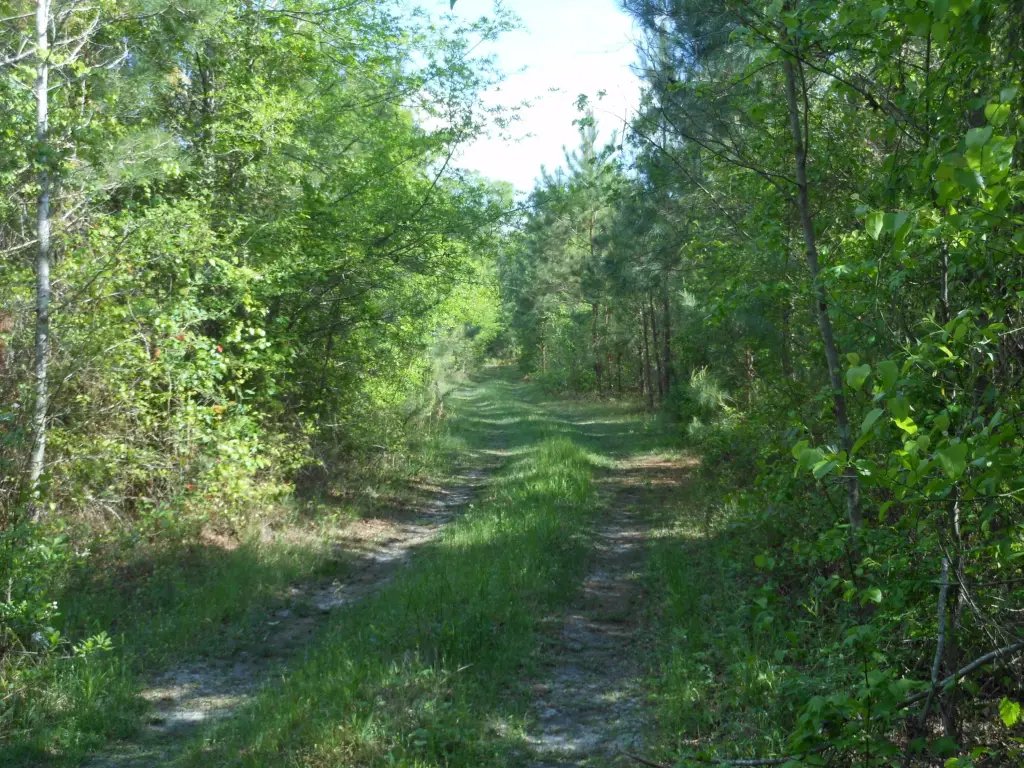 Picture 26