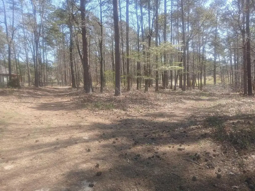 Picture 2