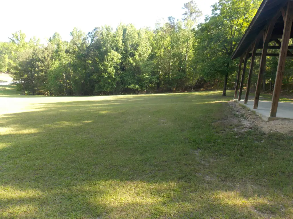 Picture 4