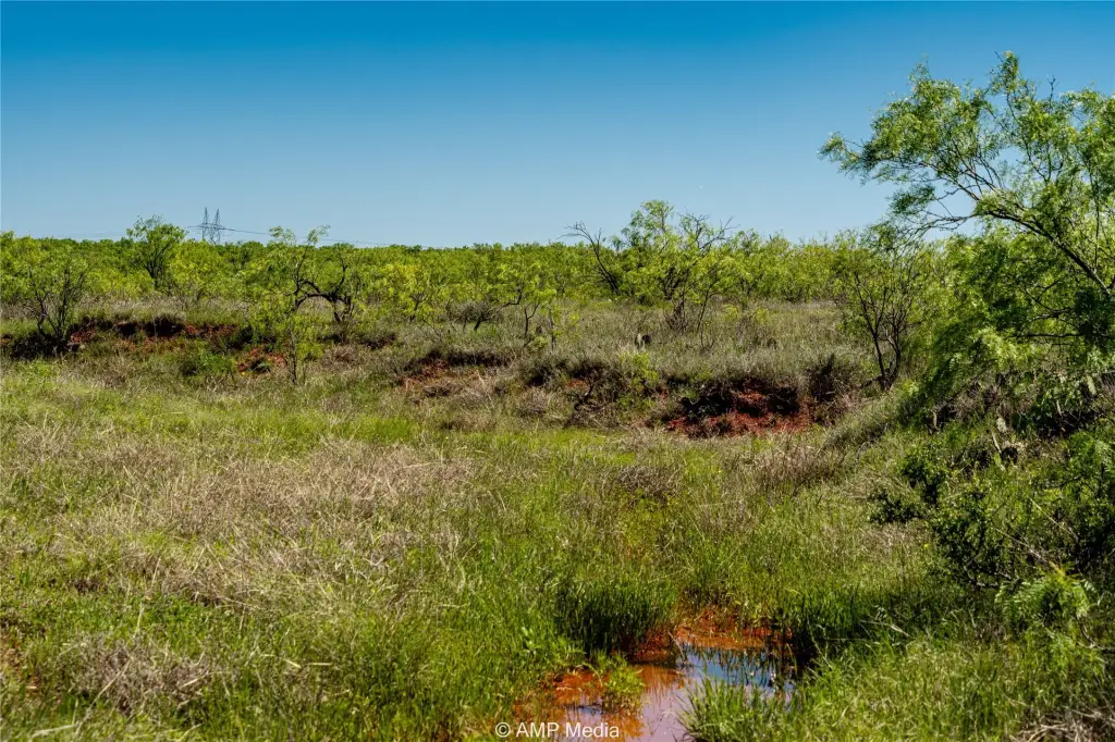 Picture 21