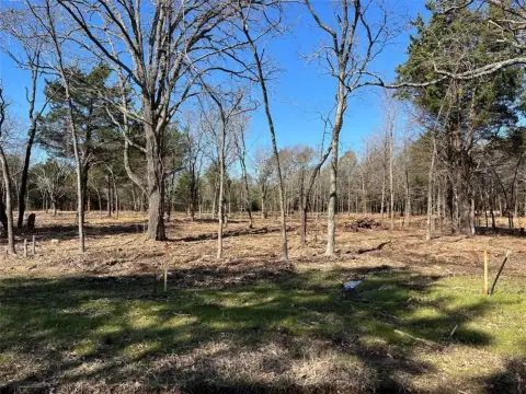 Wooded Residential Land in Quinlan
