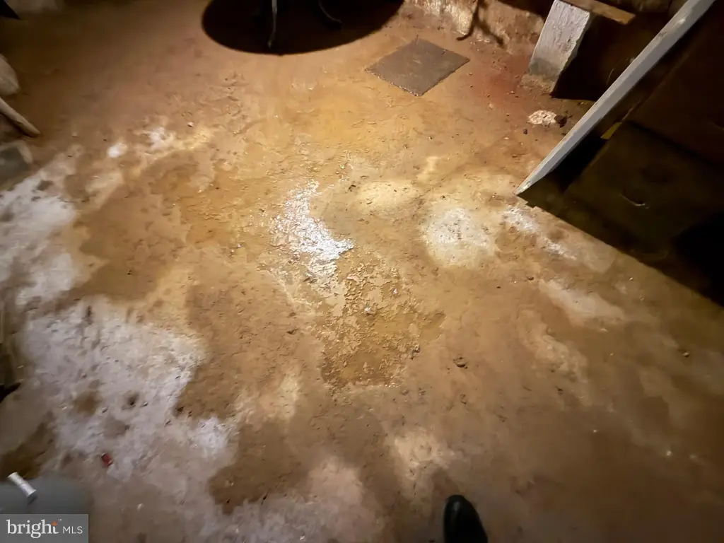 Picture 25