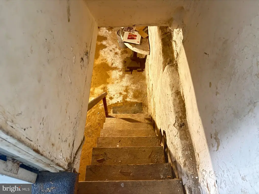 Picture 31