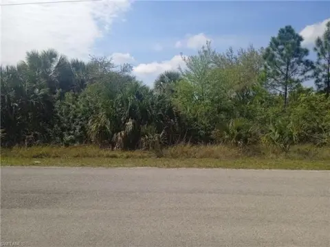 Residential Lot in Lehigh Acres