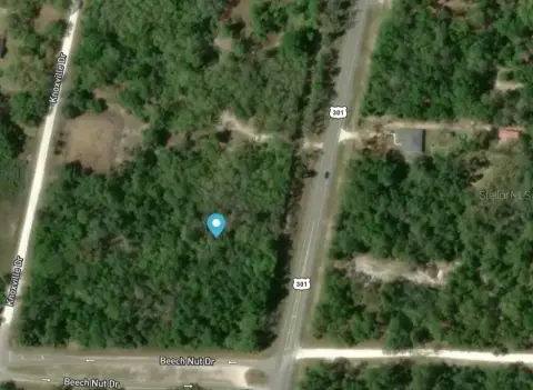 Land with US 301 Frontage