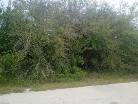 Residential Land in Lehigh Acres