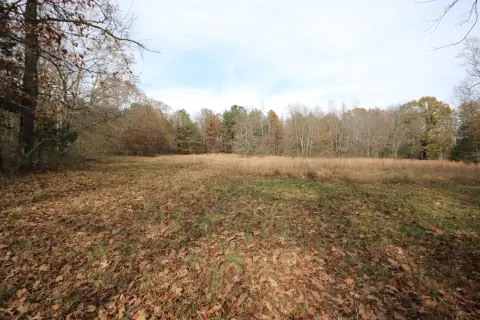 Decatur, TN Land Opportunity