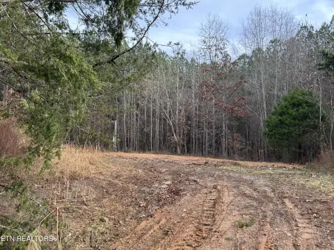 3.49 Acres in Niota, TN