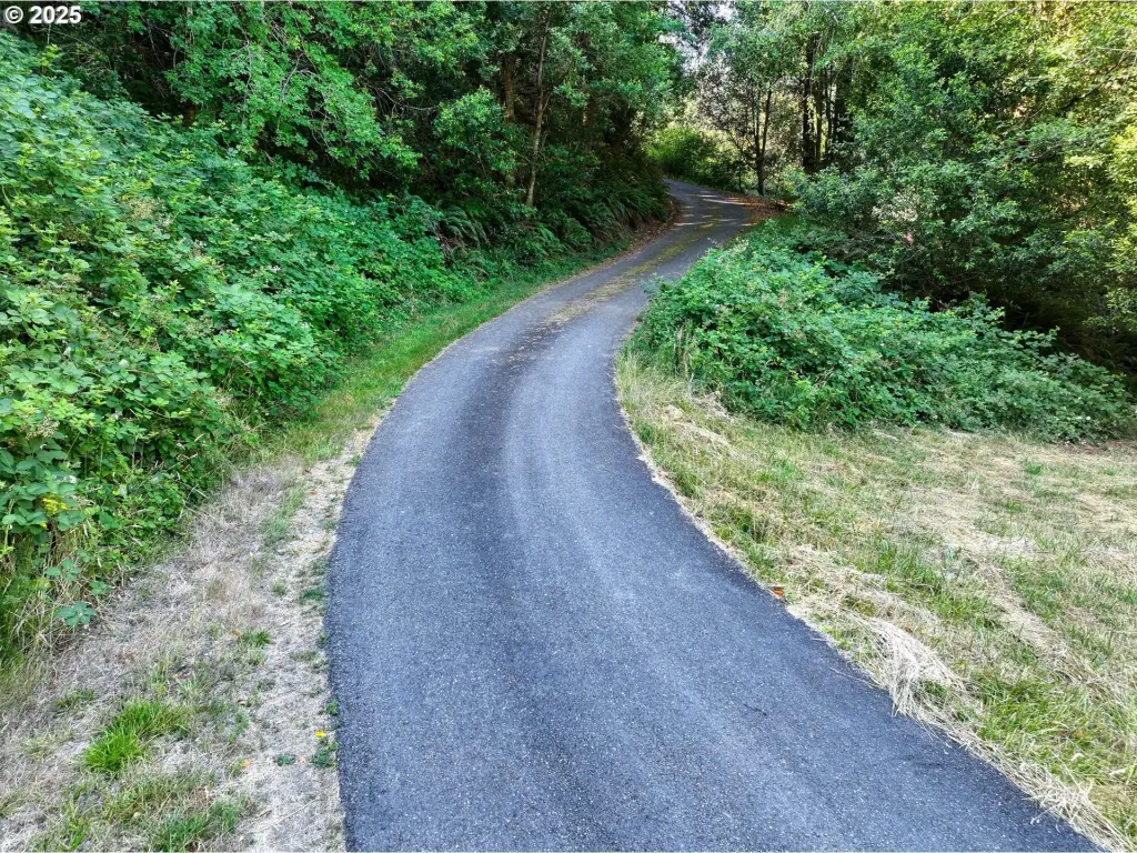Picture 23