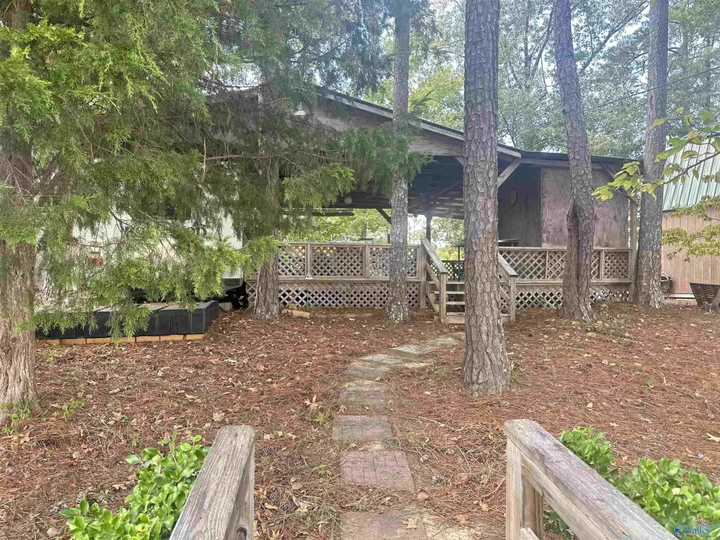 Picture 12