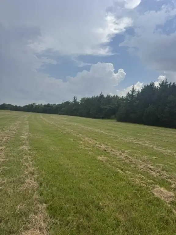 Picture 16