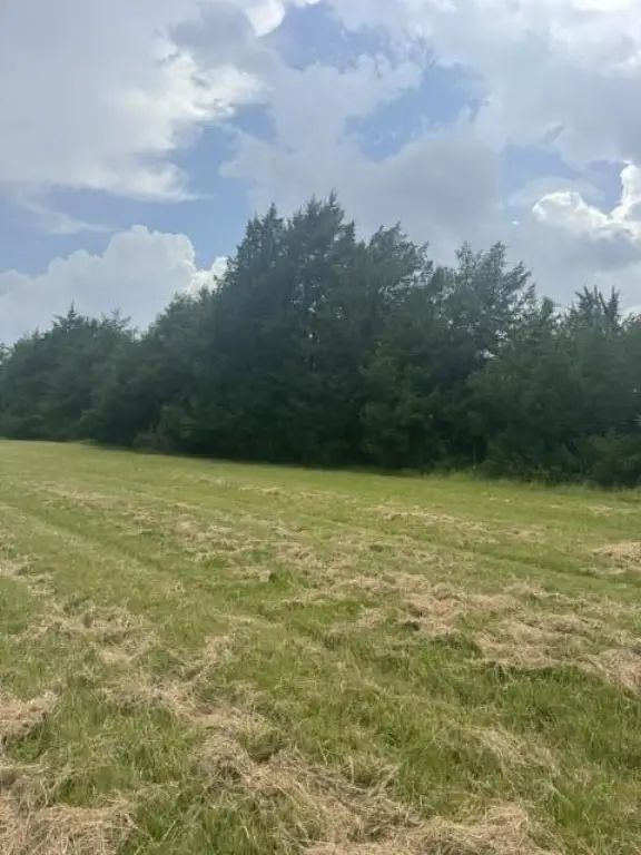 Picture 15