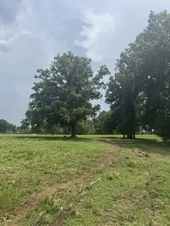 Picture 19