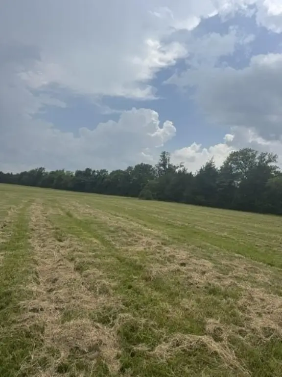 Picture 17