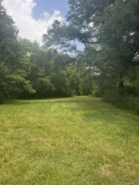 Picture 14