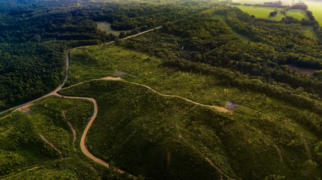 Picture 27
