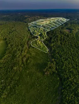 Wooded Recreation Land