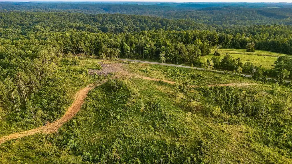 Picture 25