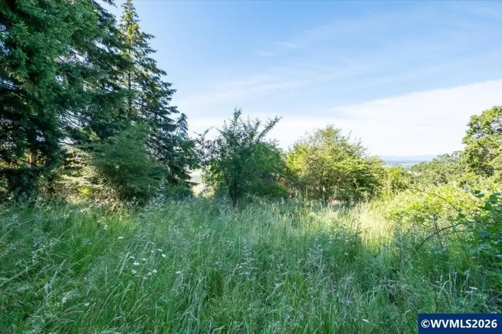 Picture 22