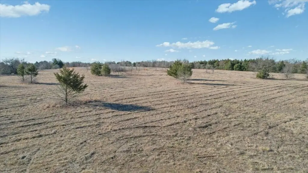 Picture 19