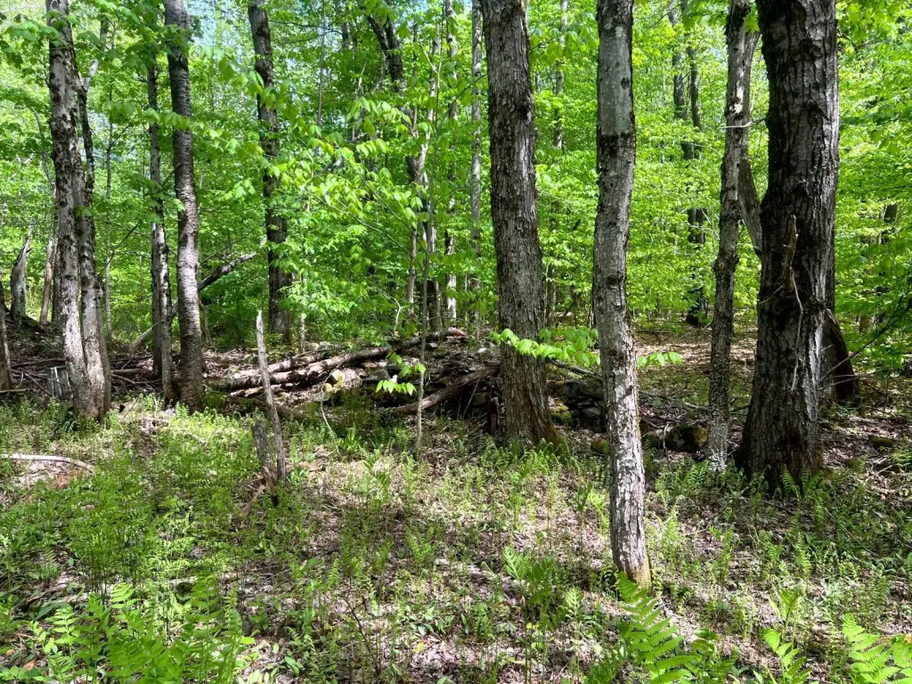 Picture 4