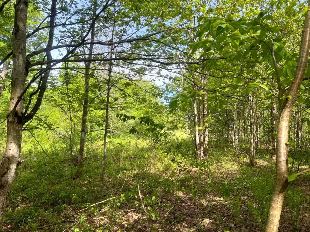 Picture 3