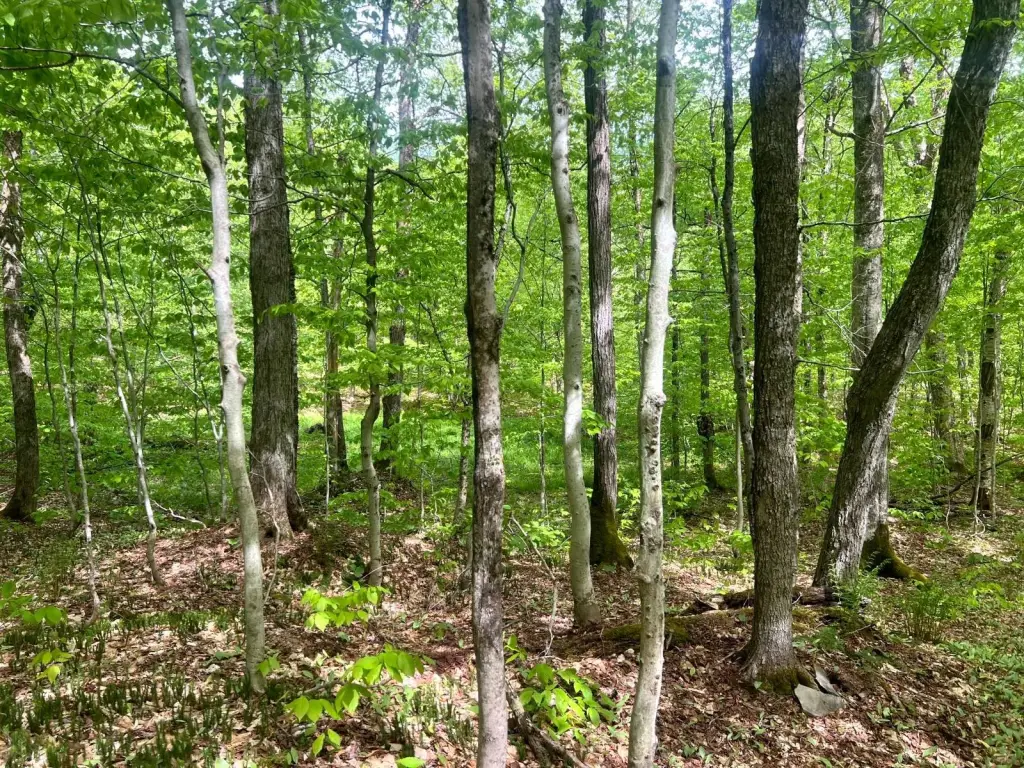 Picture 19