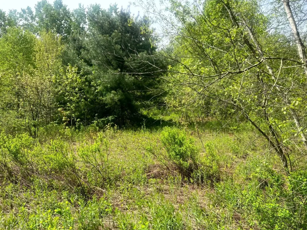 Picture 7