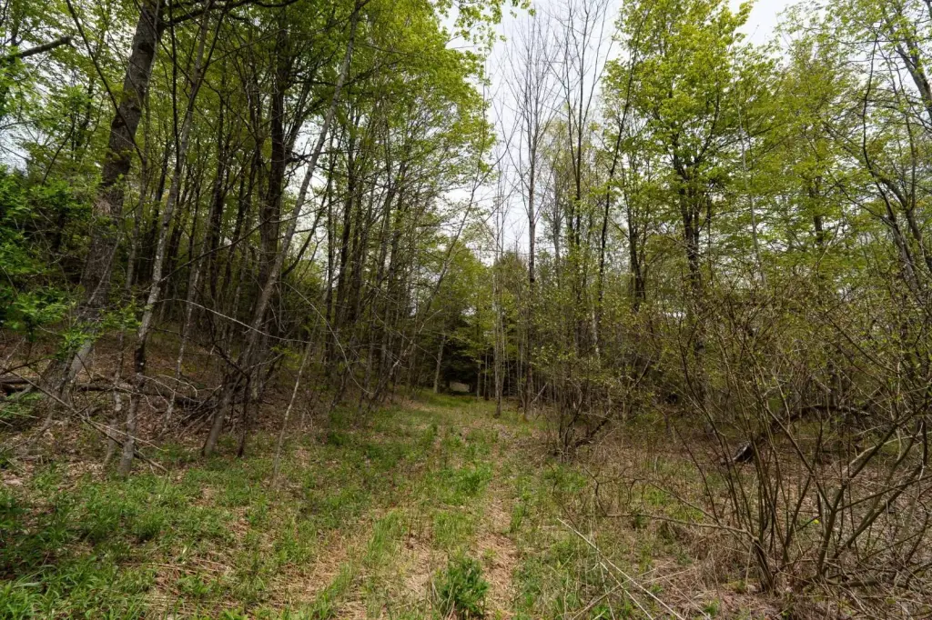 Picture 14