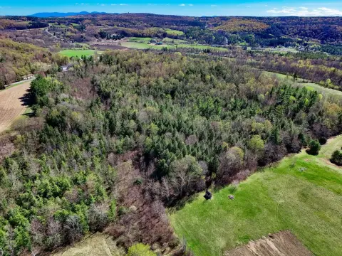 Recreational Land with Wildlife Habitat