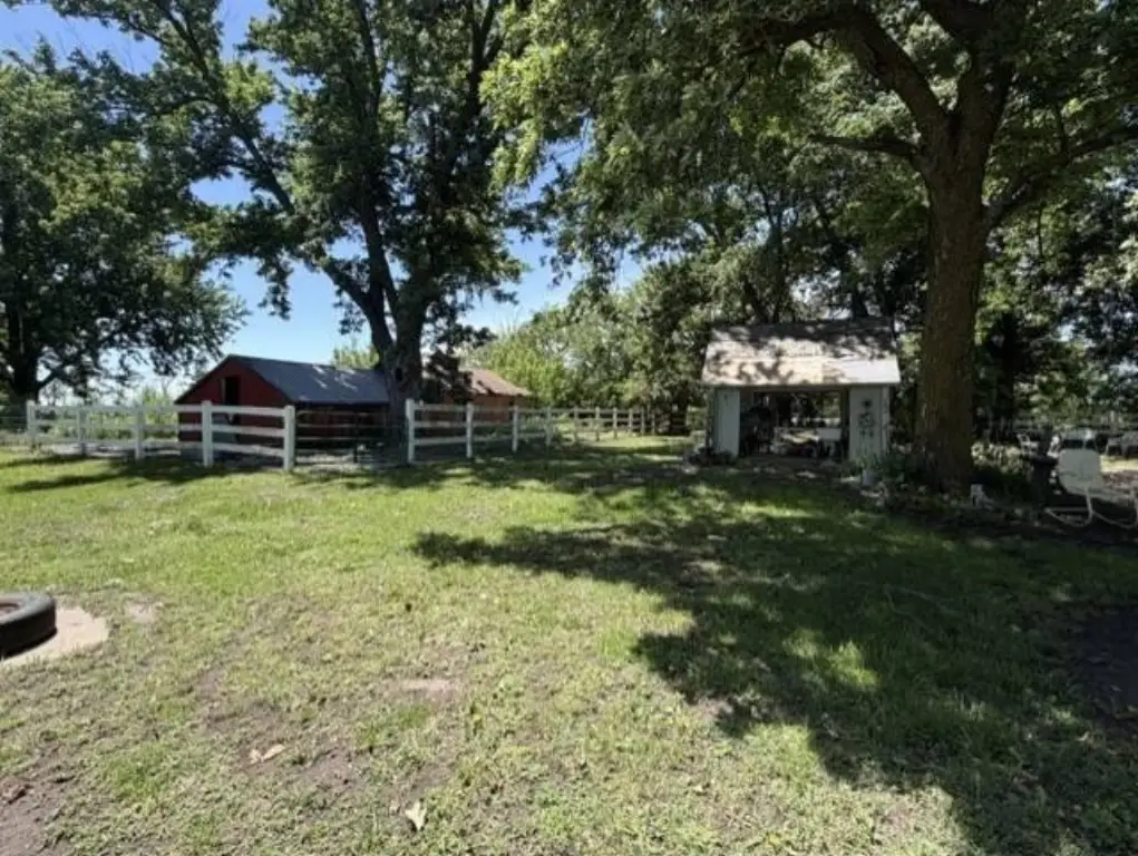 Picture 9