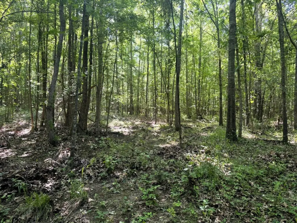 Picture 14