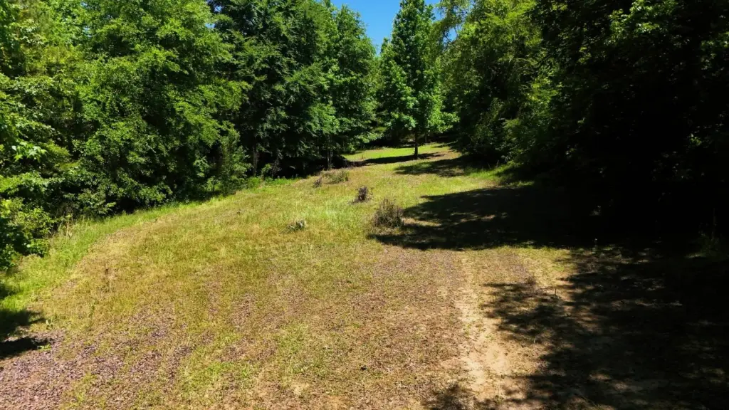 Picture 10