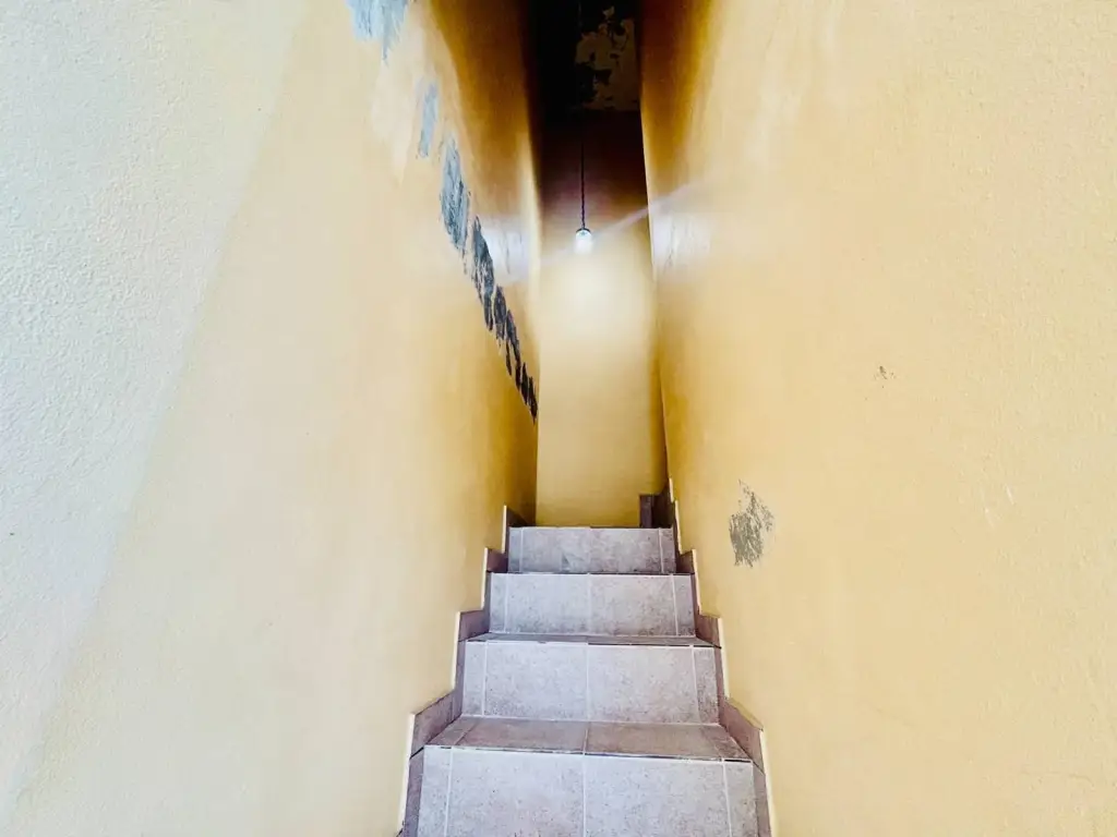 Picture 10