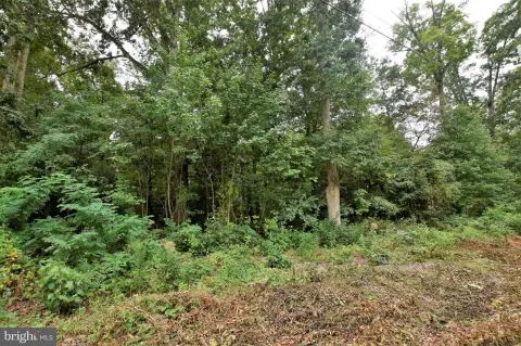 Lake Meade Double Lot