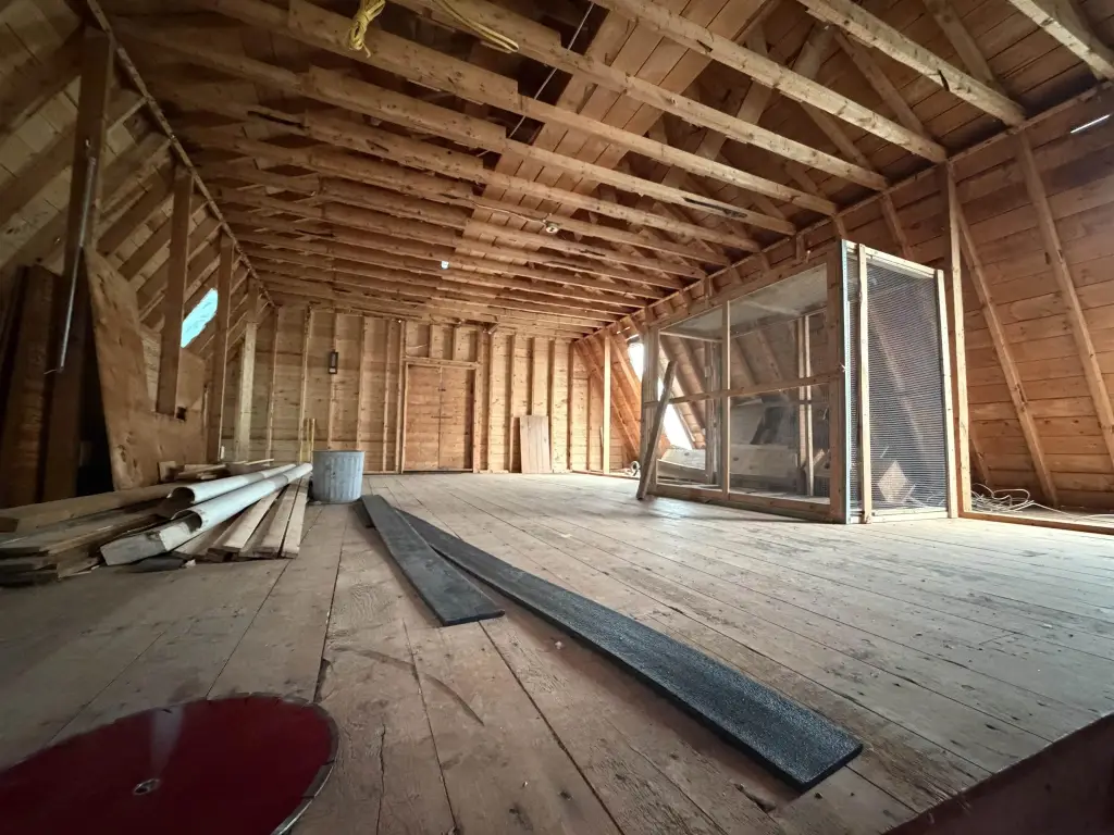 Picture 6